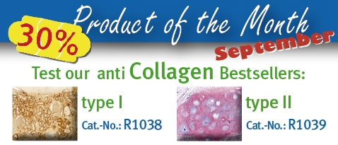 Product of the Month 2012/09